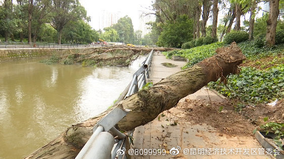 “昆明经济技术开发区管委会”微博