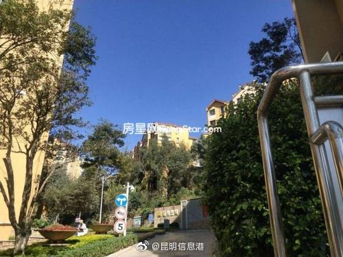 昆明信息港微博