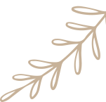 云南中医药大学第二附属医院(微信)