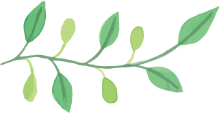 云南中医药大学第二附属医院(微信)