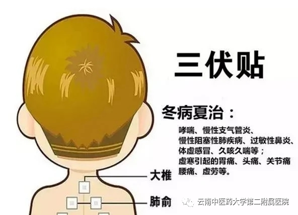 云南中医药大学第二附属医院(微信)