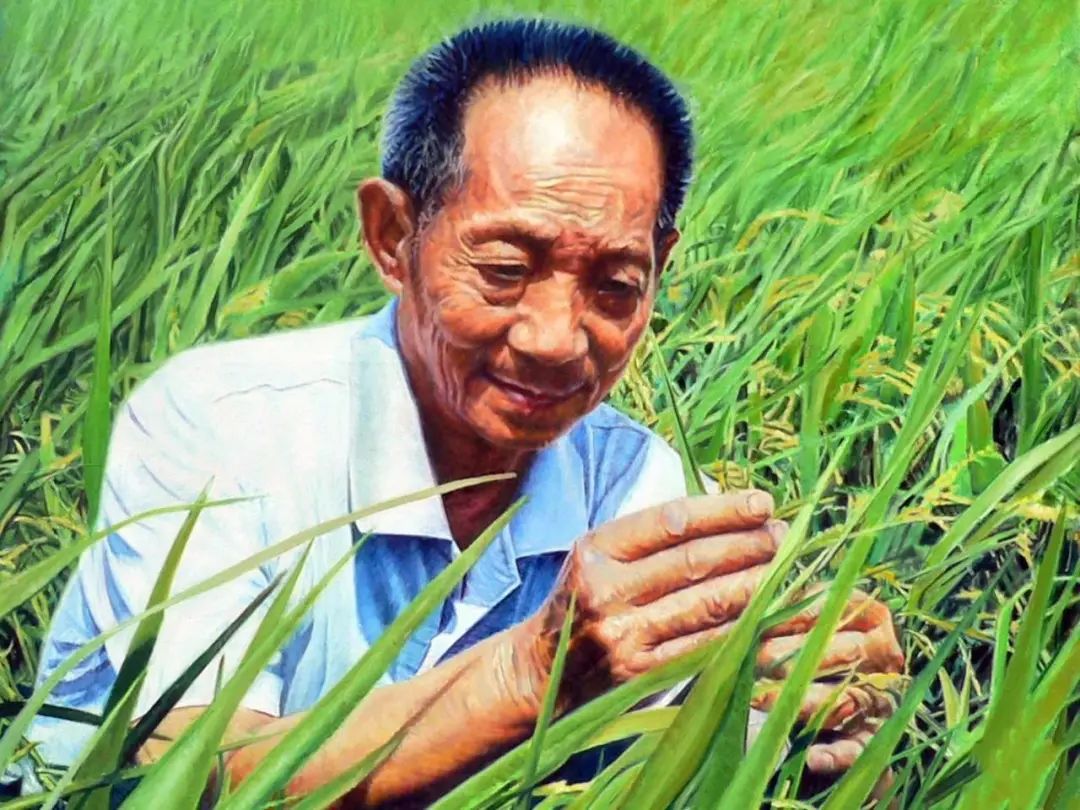 云南省图书馆(微信)