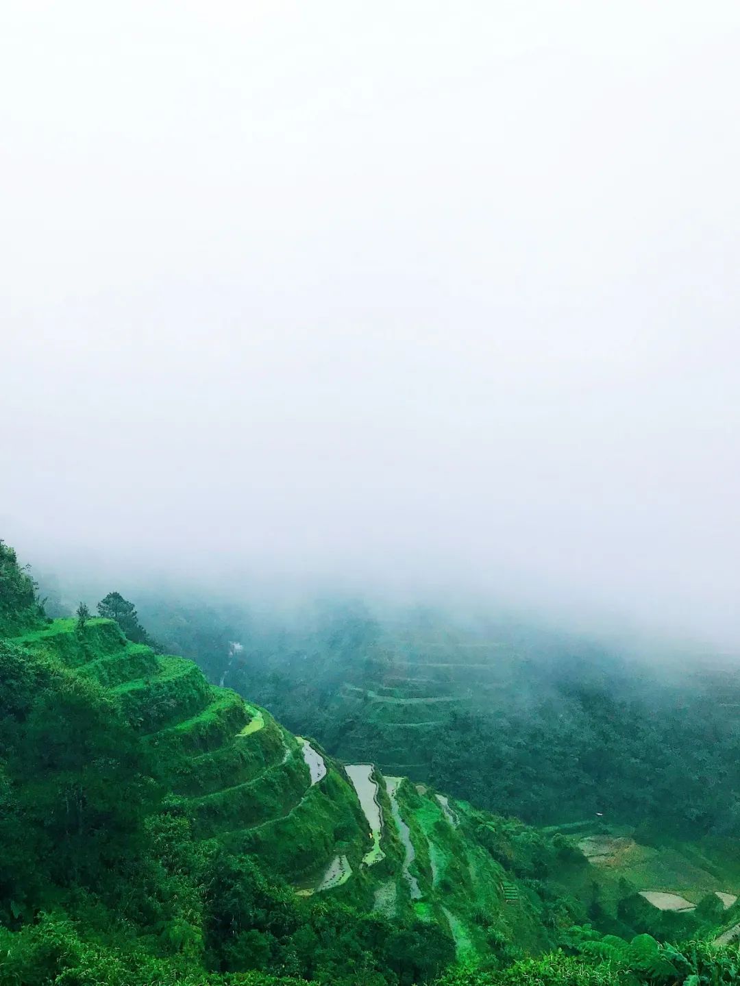 云南省图书馆(微信)