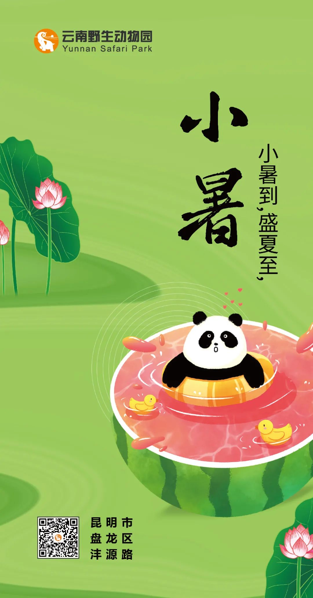 瓜甜夏凉，小暑归来。