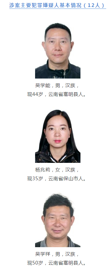 掌上春城(微信)