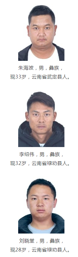 掌上春城(微信)