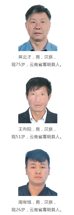 掌上春城(微信)