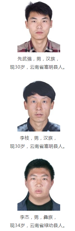 掌上春城(微信)