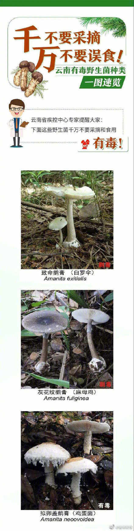 “嵩明发布”微博