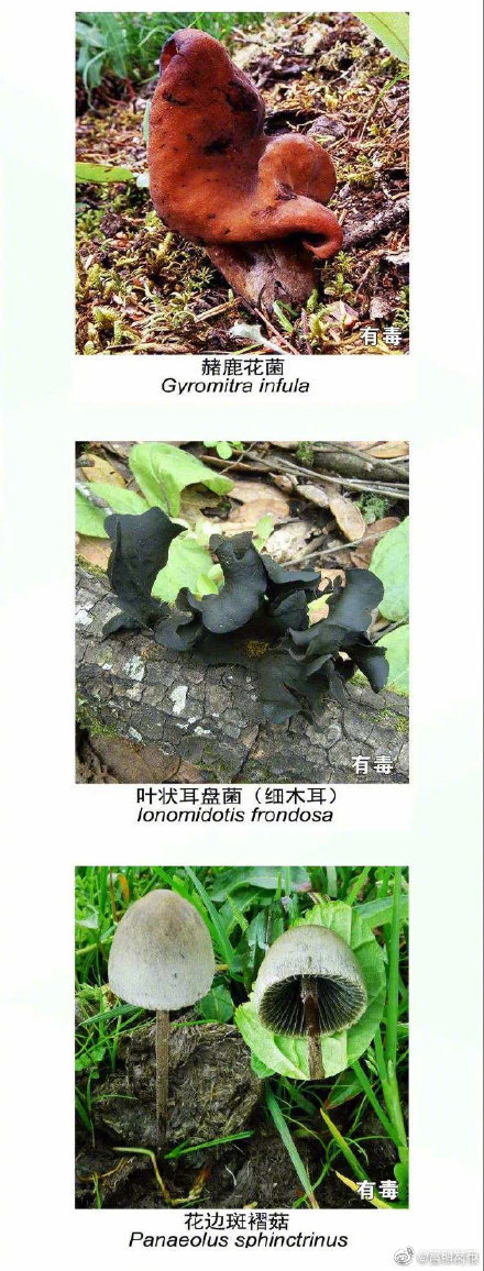 “嵩明发布”微博