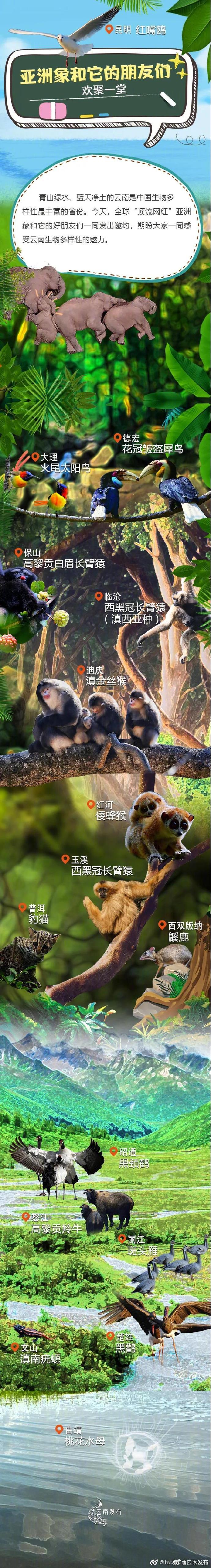 咦？你收到了一份云南“顶流网红”的邀请……