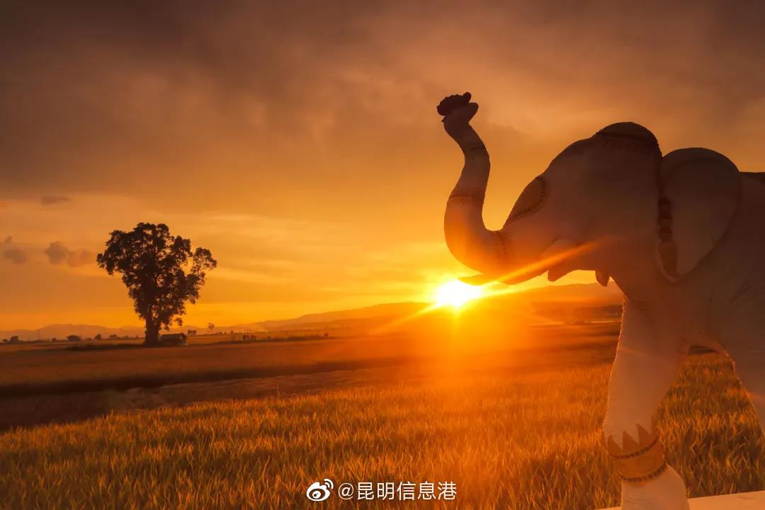 昆明信息港微博