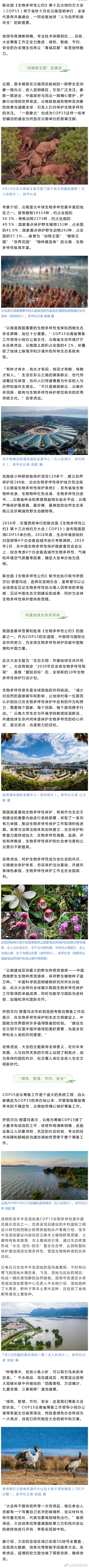 共赴“春城之约”——COP15将描绘“人与自然和谐共生”新图景