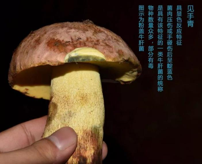 云南警方