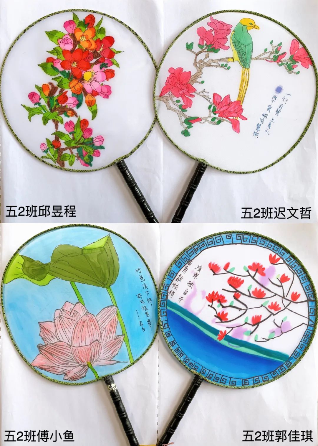 昆明西山教育体育(微信)