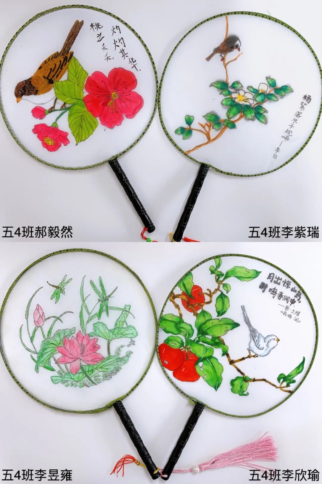 昆明西山教育体育(微信)