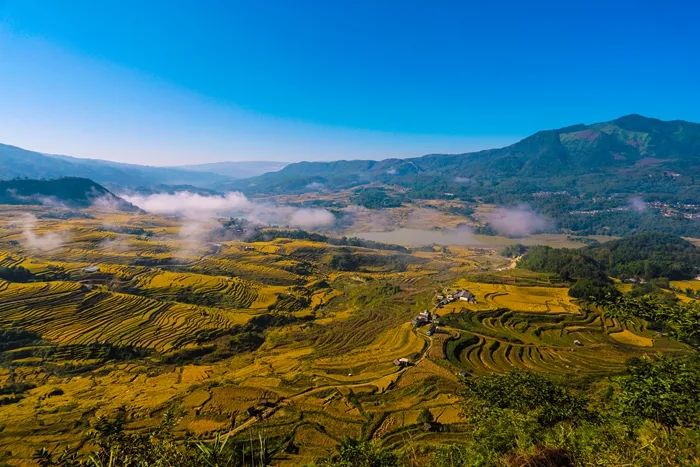 保山新闻网(微信)