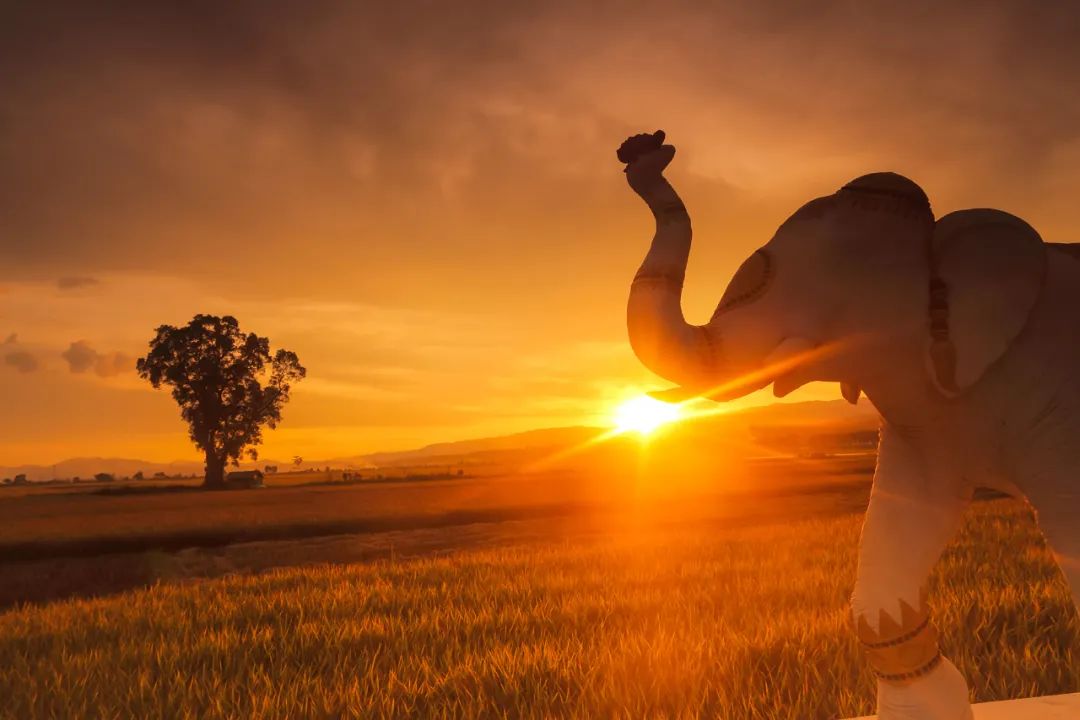 保山新闻网(微信)