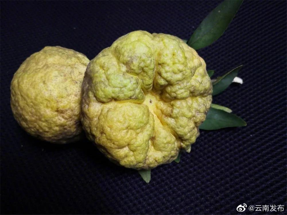 “云南发布”微博