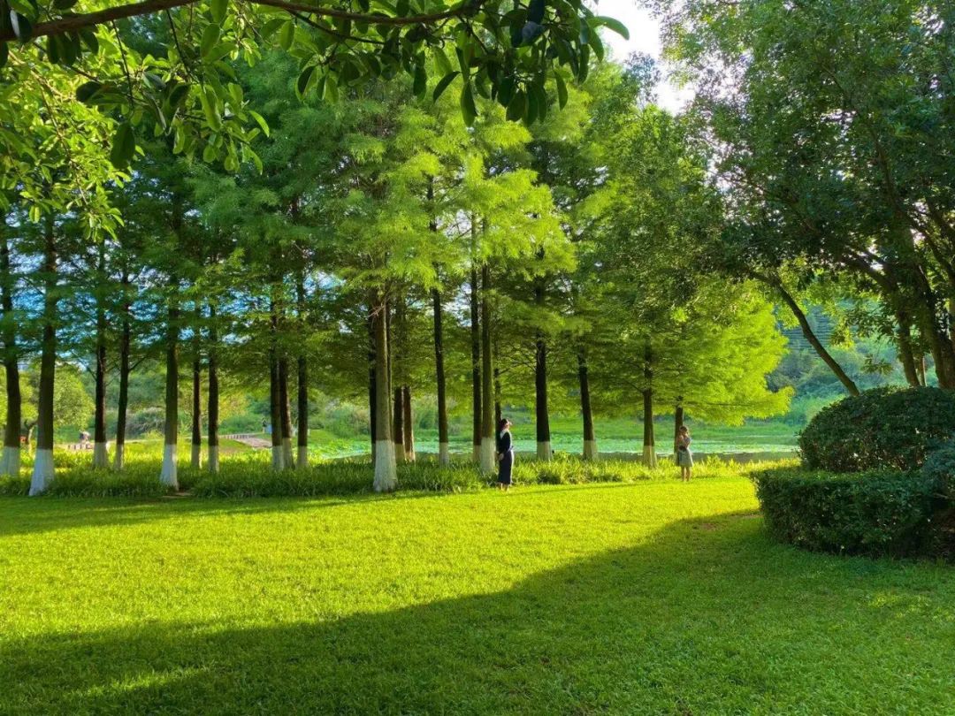 思茅区人民医院