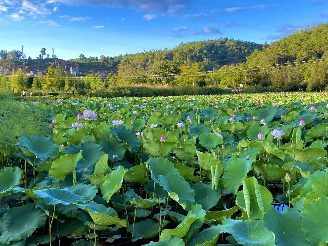 思茅区人民医院
