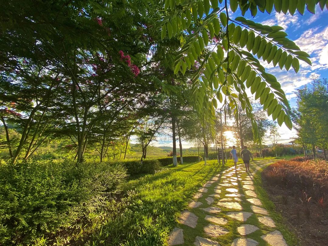 思茅区人民医院