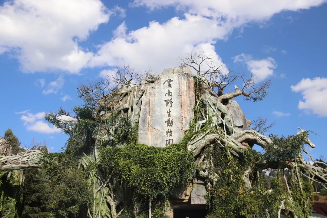 云南野生动物园(微信)