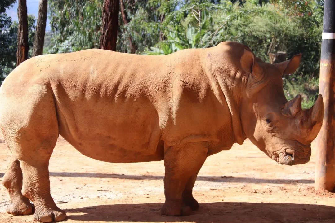 云南野生动物园(微信)