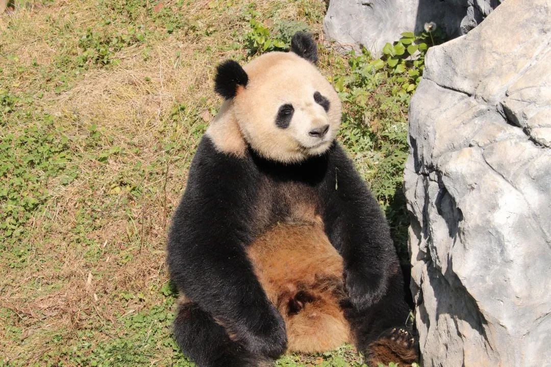 云南野生动物园(微信)