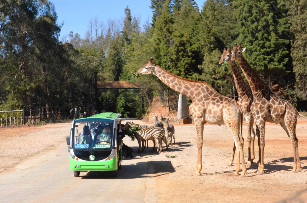 云南野生动物园(微信)