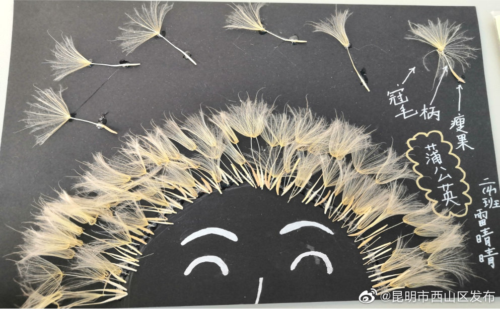 “昆明市西山区发布”微博