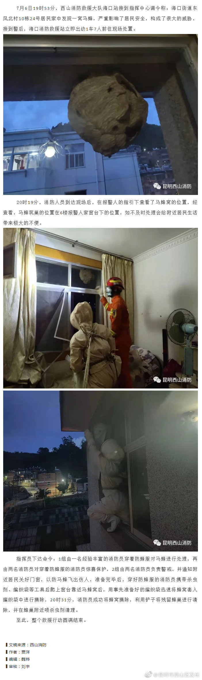 我为群众办实事丨西山消防快速处置马蜂窝解民忧