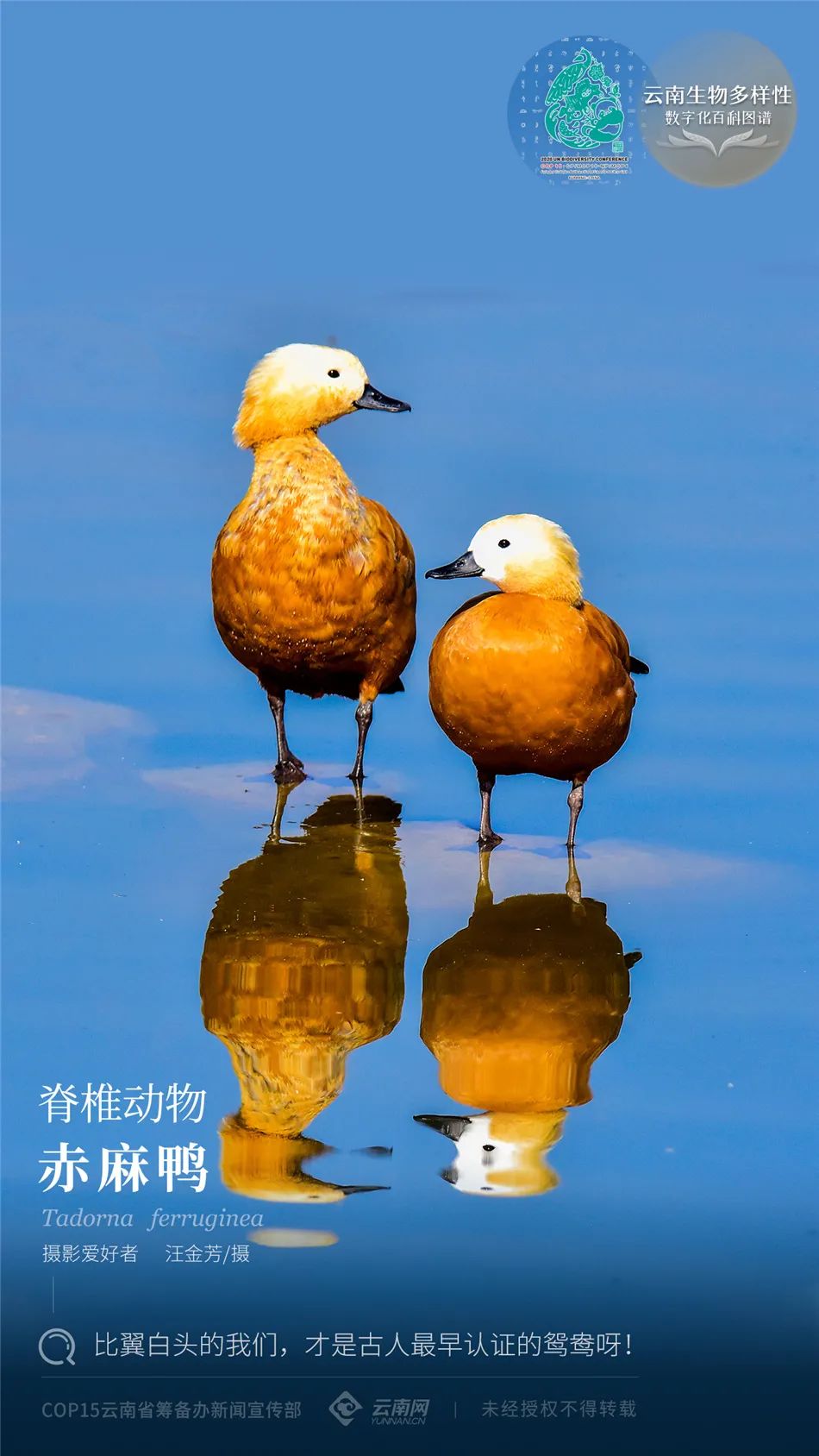 云南省人民政府网