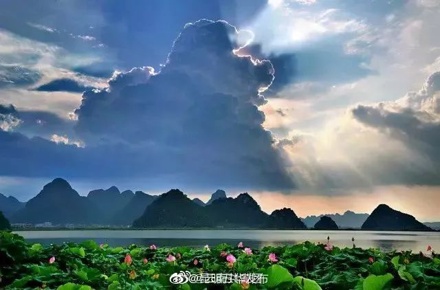 “昆明五华发布”微博