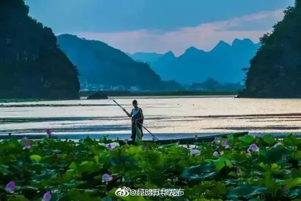 “昆明五华发布”微博