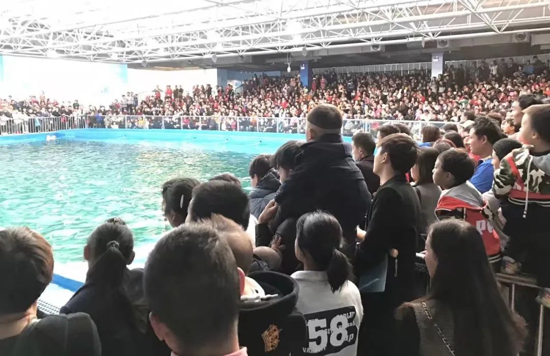 918云南交通台(微信)