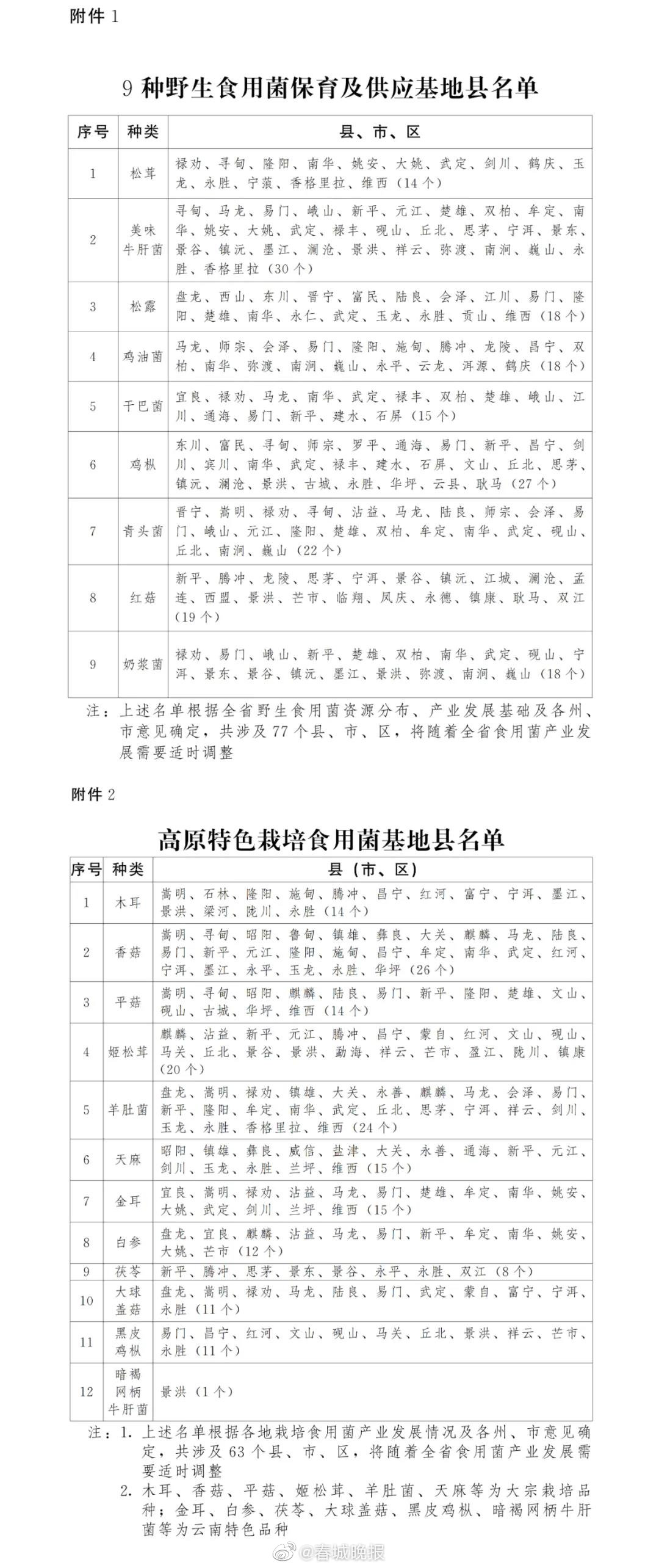 云南将打造野生食用菌、栽培食用菌供应基地