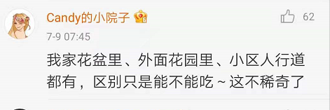 春城晚报(微信)