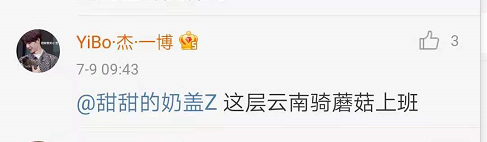 春城晚报(微信)