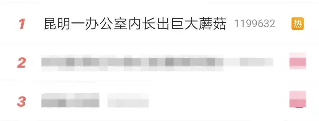 春城晚报(微信)