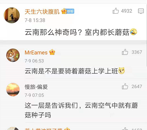 春城晚报(微信)