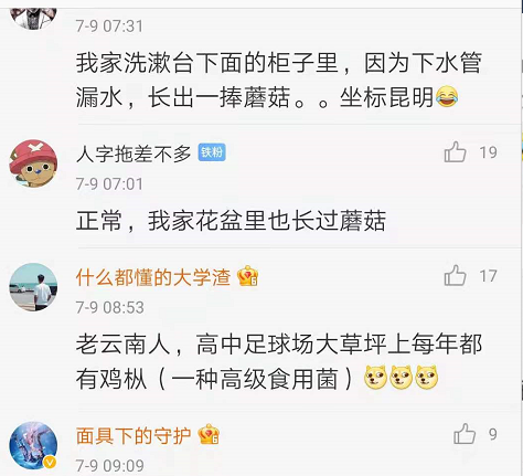 春城晚报(微信)