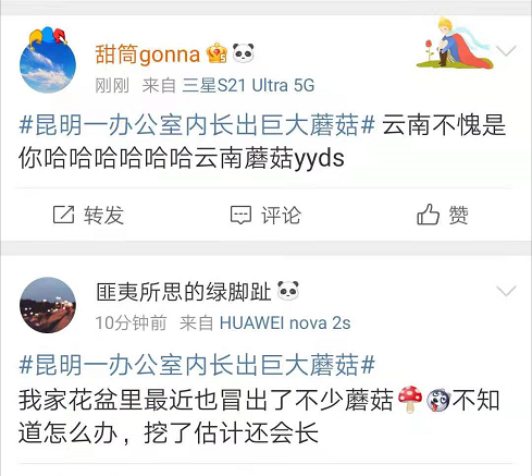 春城晚报(微信)