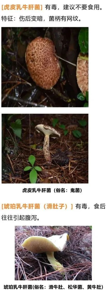 美丽云南微科普(微信)