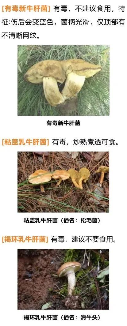 美丽云南微科普(微信)