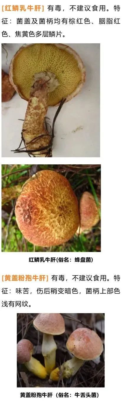 美丽云南微科普(微信)
