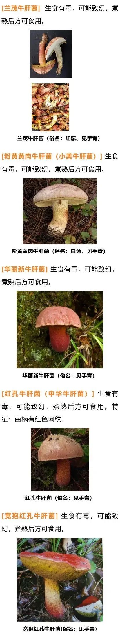 美丽云南微科普(微信)
