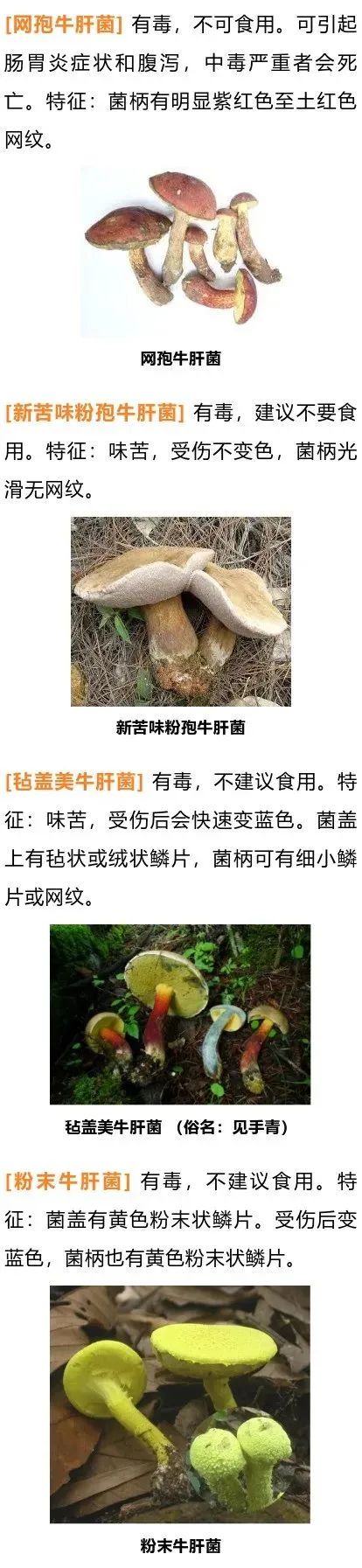 美丽云南微科普(微信)