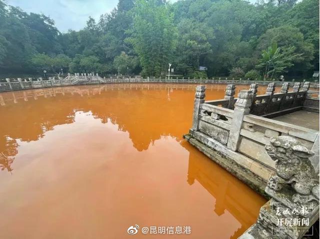 昆明信息港微博