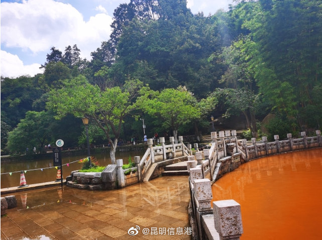 昆明信息港微博